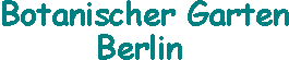 berlin.gif (961 Byte)