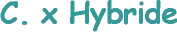 C. x Hybride